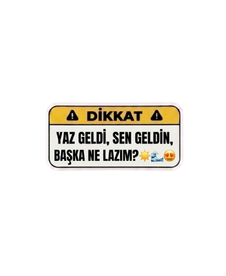 Yaz Geldi, Sen Geldin, Başka Ne Lazım?